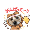 うちのワンちゃんシリーズ3（モカとミル）（個別スタンプ：9）