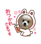 うちのワンちゃんシリーズ3（モカとミル）（個別スタンプ：14）