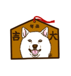 新年用白柴犬スタンプ（イラスト）（個別スタンプ：9）