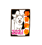 新年用白柴犬スタンプ（イラスト）（個別スタンプ：14）