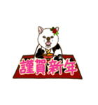 新年用白柴犬スタンプ（イラスト）（個別スタンプ：16）