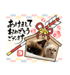 シャム猫チョコ棒＆マリブあけおめスタンプ（個別スタンプ：10）