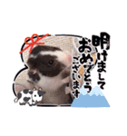 ハムスターとわたし（個別スタンプ：1）