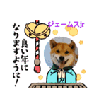 柴犬ジェームスjr 7（個別スタンプ：7）