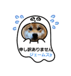 柴犬ジェームスjr 7（個別スタンプ：11）