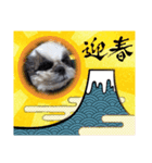 我が家のシーズー犬もじゃ【年末年始編】（個別スタンプ：2）