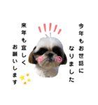 我が家のシーズー犬もじゃ【年末年始編】（個別スタンプ：7）
