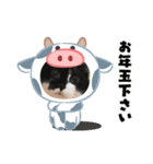 普通の猫ミライ お正月用スタンプ（個別スタンプ：1）
