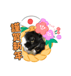 普通の猫ミライ お正月用スタンプ（個別スタンプ：3）