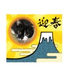 普通の猫ミライ お正月用スタンプ（個別スタンプ：4）