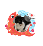普通の猫ミライ お正月用スタンプ（個別スタンプ：7）