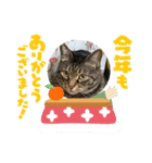 2021ドンノブボム（個別スタンプ：1）