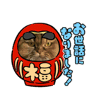 2021ドンノブボム（個別スタンプ：2）