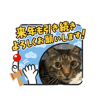 2021ドンノブボム（個別スタンプ：3）