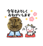 2021ドンノブボム（個別スタンプ：8）
