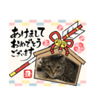 2021ドンノブボム（個別スタンプ：9）
