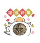 2021ドンノブボム（個別スタンプ：12）