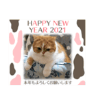 2021ドンノブボム（個別スタンプ：13）