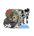 2021ドンノブボム（個別スタンプ：14）