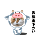 2021ドンノブボム（個別スタンプ：16）