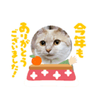 年末年始 可愛いみるたんとむぎたん（個別スタンプ：1）