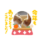 年末年始 可愛いみるたんとむぎたん（個別スタンプ：3）