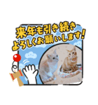 年末年始 可愛いみるたんとむぎたん（個別スタンプ：5）