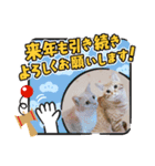 年末年始 可愛いみるたんとむぎたん（個別スタンプ：6）
