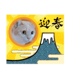 年末年始 可愛いみるたんとむぎたん（個別スタンプ：8）