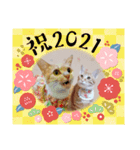 年末年始 可愛いみるたんとむぎたん（個別スタンプ：9）