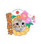 年末年始 可愛いみるたんとむぎたん（個別スタンプ：10）