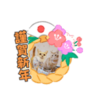 年末年始 可愛いみるたんとむぎたん（個別スタンプ：13）