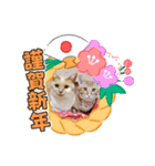年末年始 可愛いみるたんとむぎたん（個別スタンプ：14）