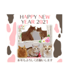 年末年始 可愛いみるたんとむぎたん（個別スタンプ：16）