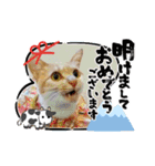 年末年始 可愛いみるたんとむぎたん（個別スタンプ：17）