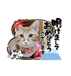 年末年始 可愛いみるたんとむぎたん（個別スタンプ：18）