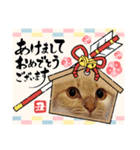 年末年始 可愛いみるたんとむぎたん（個別スタンプ：19）