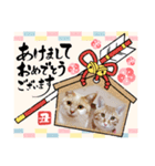 年末年始 可愛いみるたんとむぎたん（個別スタンプ：20）