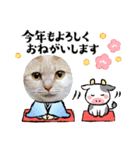 年末年始 可愛いみるたんとむぎたん（個別スタンプ：22）