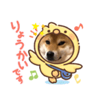 柴犬小麦ちゃん！（個別スタンプ：1）