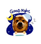 柴犬小麦ちゃん！（個別スタンプ：6）