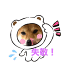 柴犬小麦ちゃん！（個別スタンプ：10）