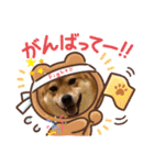 柴犬小麦ちゃん！（個別スタンプ：13）