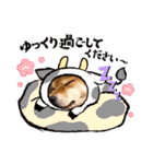 柴犬小麦ちゃん！（個別スタンプ：14）