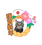 年末年始ねこねこスタンプ（個別スタンプ：3）
