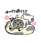 年末年始ねこねこスタンプ（個別スタンプ：6）