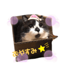 くるみの日常の気持ち（個別スタンプ：14）