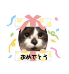 くるみの日常の気持ち（個別スタンプ：15）