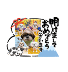 仲良しワンコ達（新年ご挨拶編）（個別スタンプ：1）