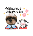 仲良しワンコ達（新年ご挨拶編）（個別スタンプ：4）